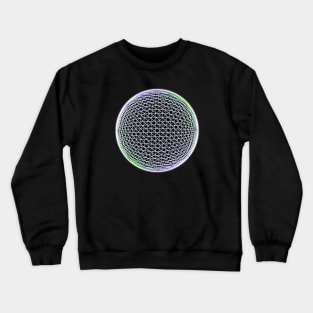 Sphere Fun Crewneck Sweatshirt